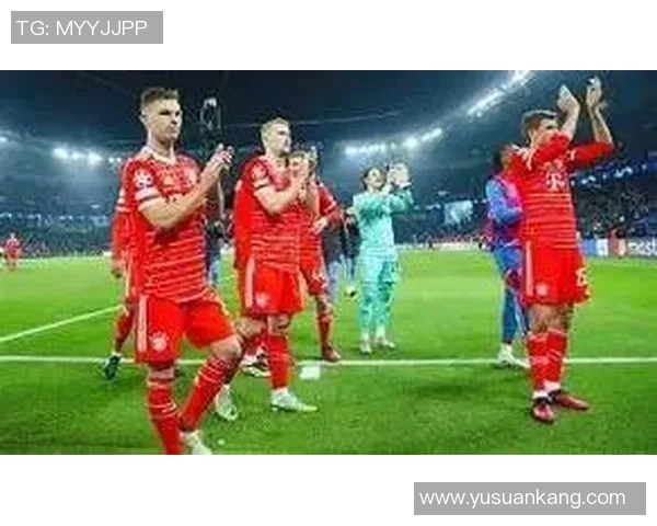 博塔弗戈与沙佩科对决比分预测及赛前分析展望